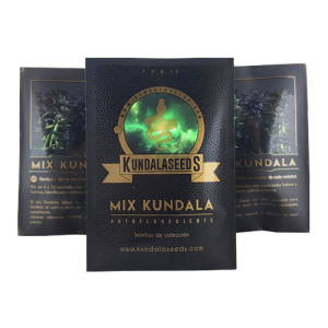 Mix Autofloreciente Kundala x10