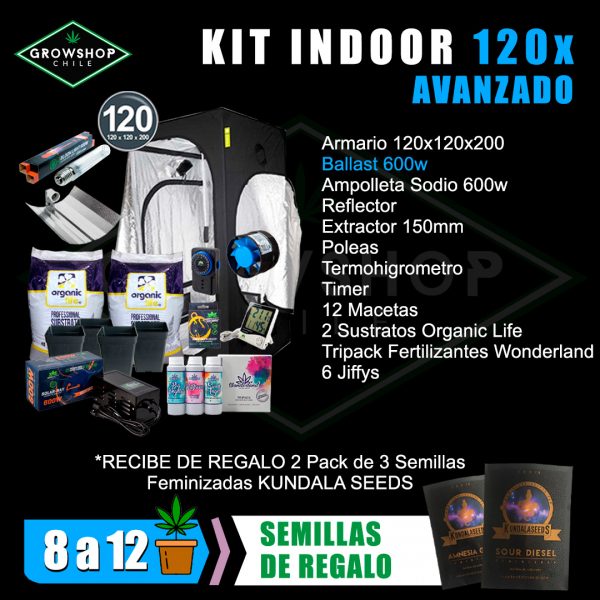 Kit Indoor 120x120x200 600w