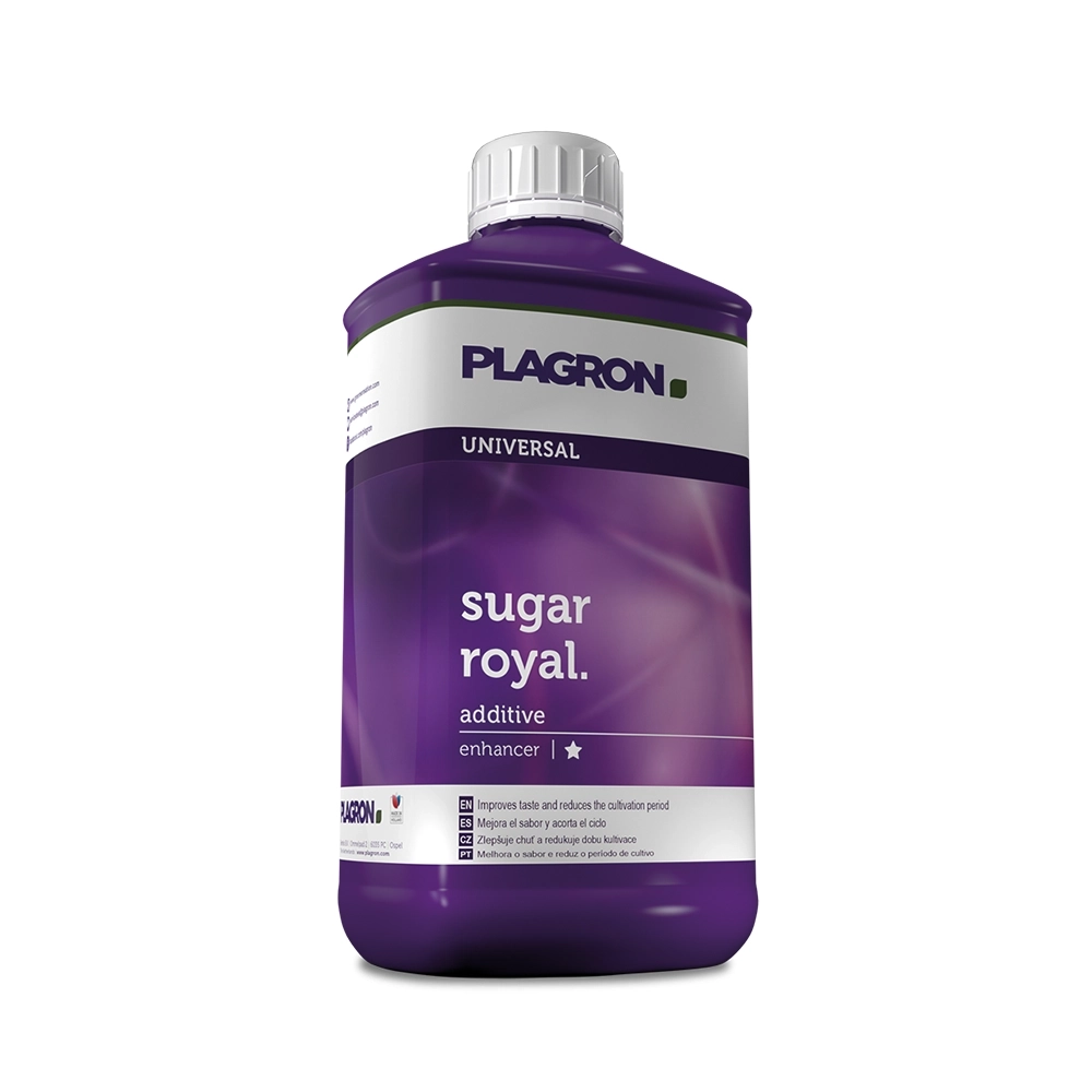 Sugar Royal Plagron 500ml