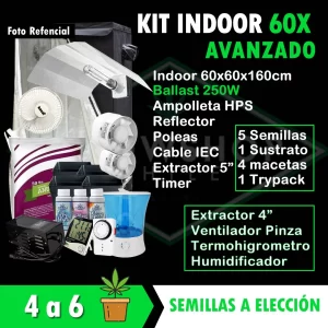 Kit Indoor Avanzado 60X60x160
