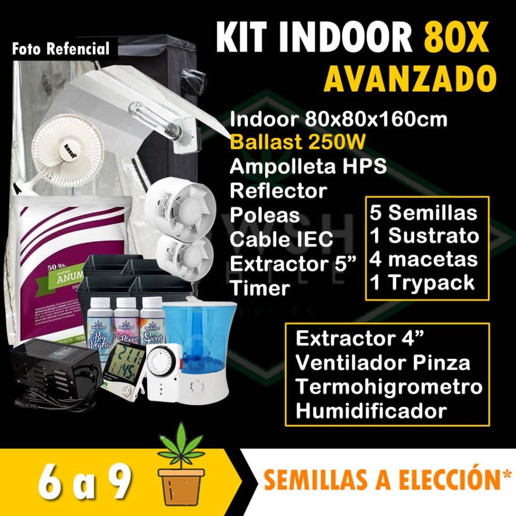 Kit Indoor Avanzado 80X80x160cm GrowshopChile