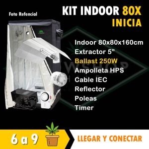 Kit indoor marihuana 80x80x160