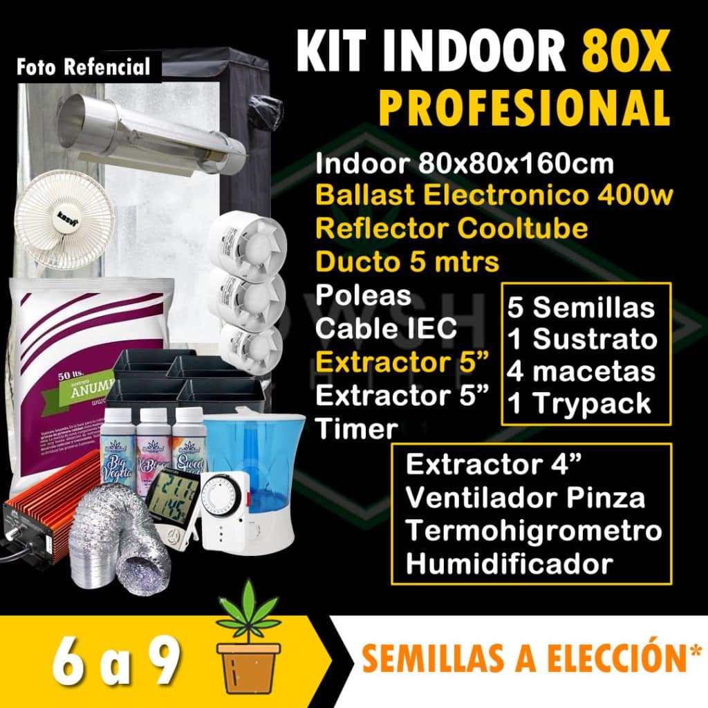 KIT indoor Profesional 80x80x160