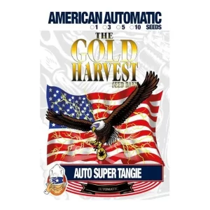 Super Tangie Auto Gold Harvest