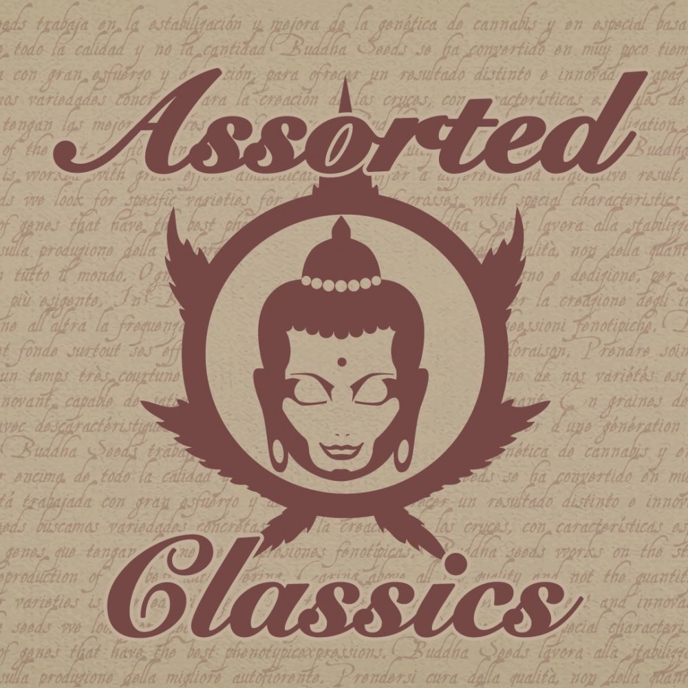 Assorted Classics Mix x10 Buddha Seeds
