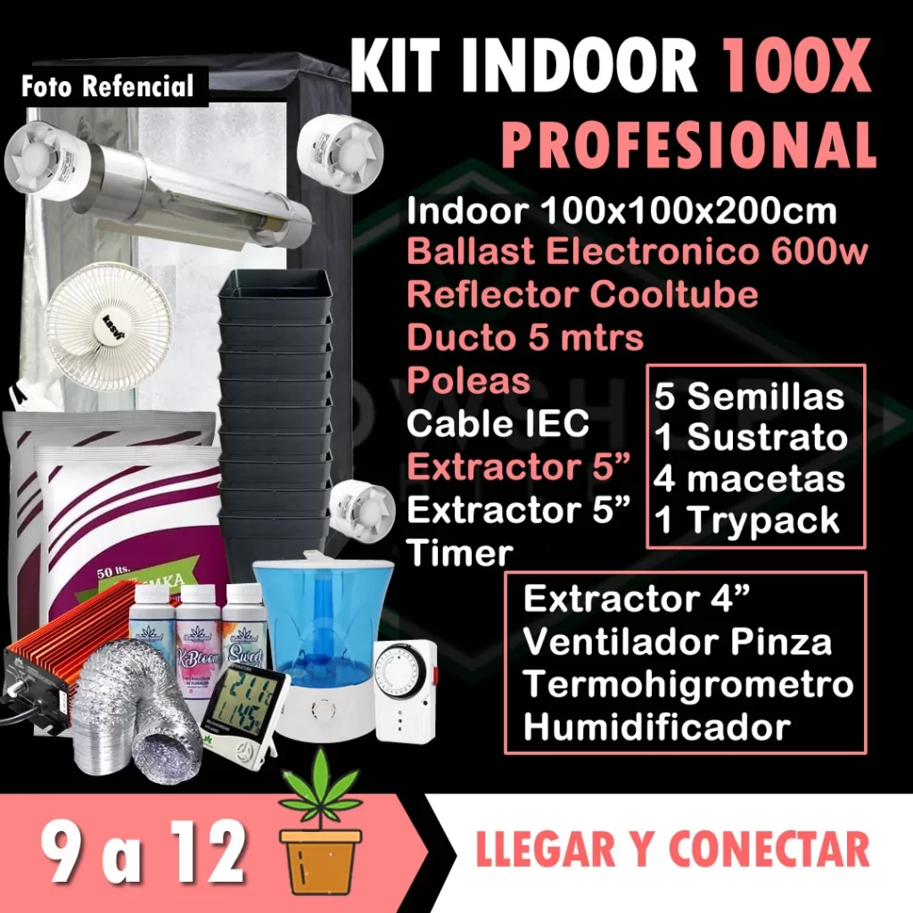 kit indoor 100x100x200 profesional