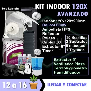 Kit indoor 120x120x200 Avanzado