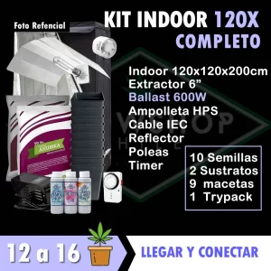 kit indoor 120x120x200 completo
