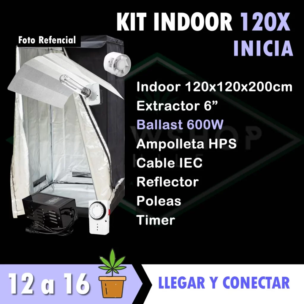 Kit indoor 120x120x200