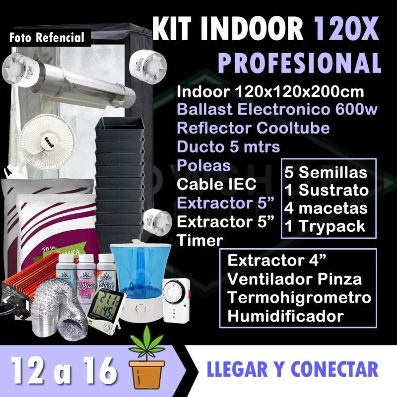 Kit indoor 120x120x200 cm Profesional