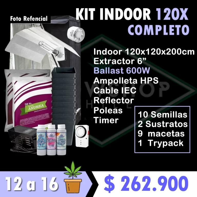 Indoor Completo 120x120x200