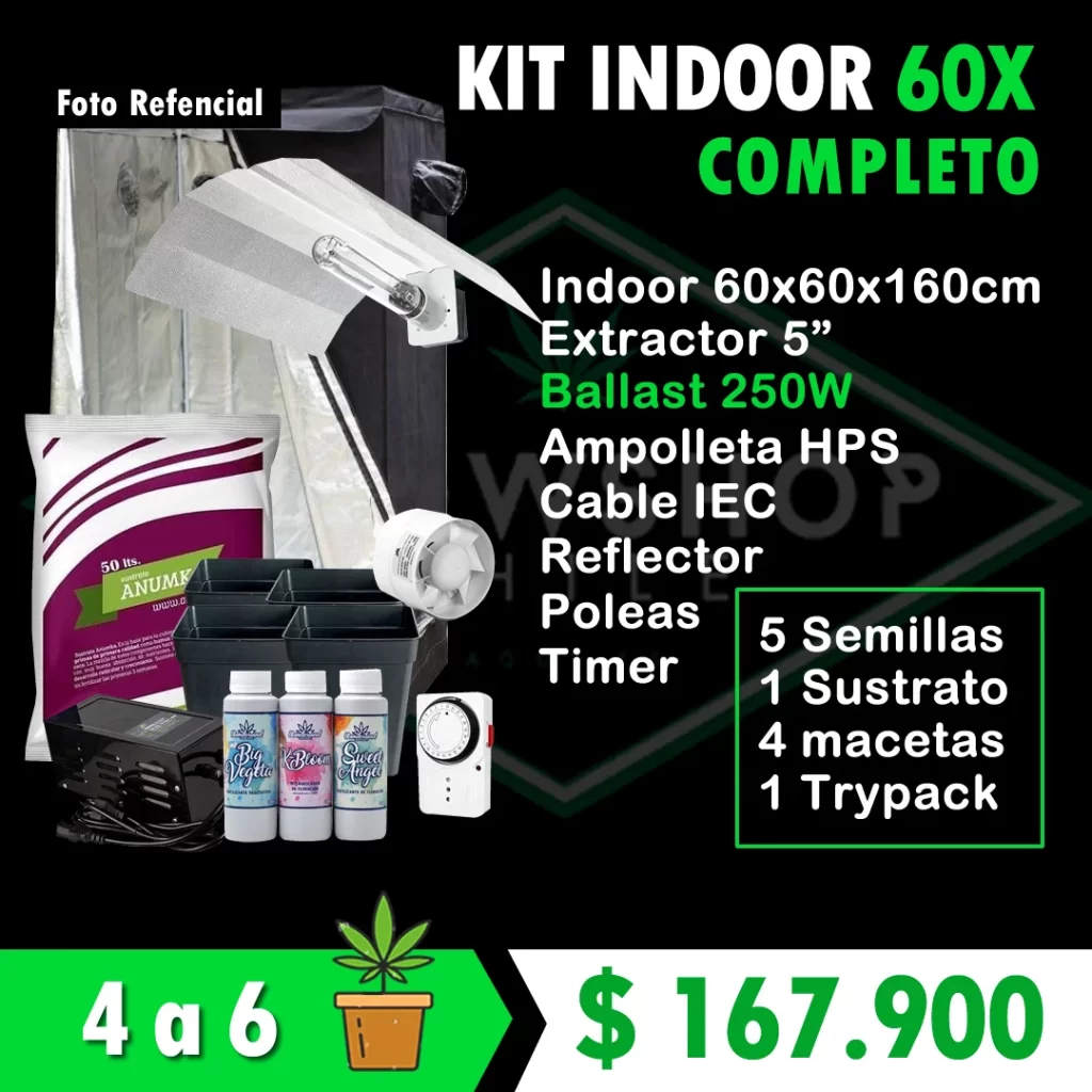 Kit indoor Completo 60x60