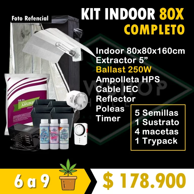Kit indoor Completo 80x80x160