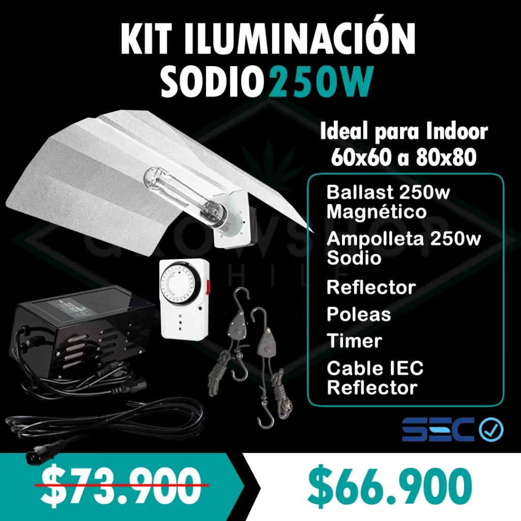 Kit Iluminacion 250w