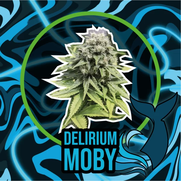Delirium Moby F1 Delirium Seeds