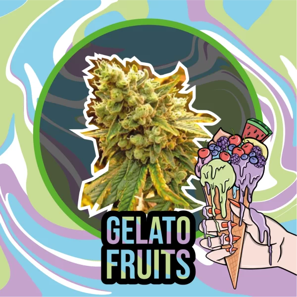 Gelato Fruits Delirium Seeds