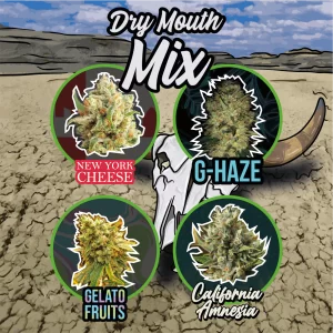 Mix Dry Mouth Auto Delirium Seeds