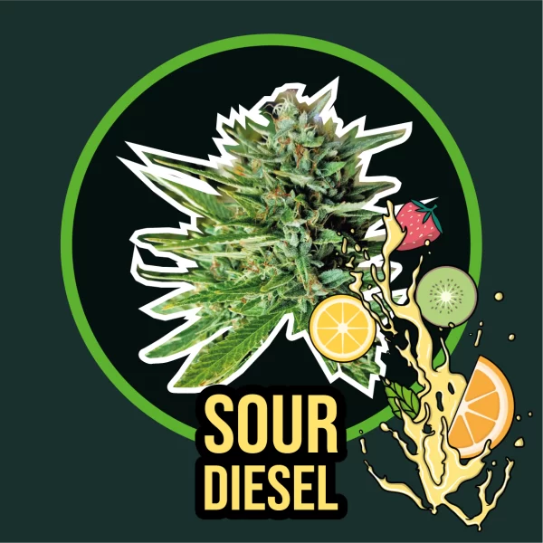 Sour Diesel F1 Delirium Seeds
